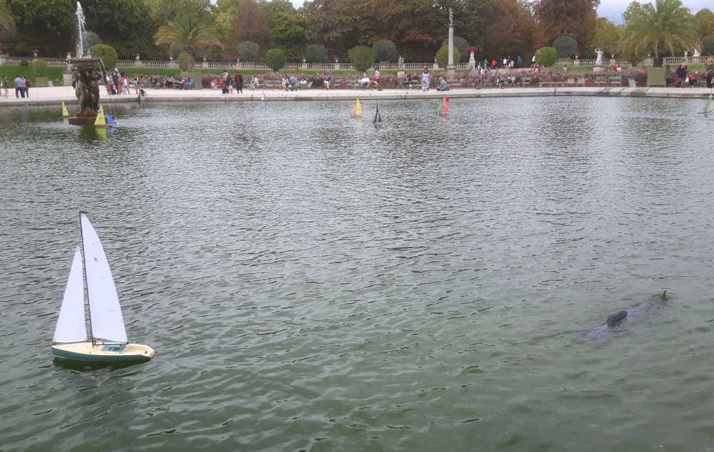 club nautique du luco jardin du Luxembourg Paris pond boat