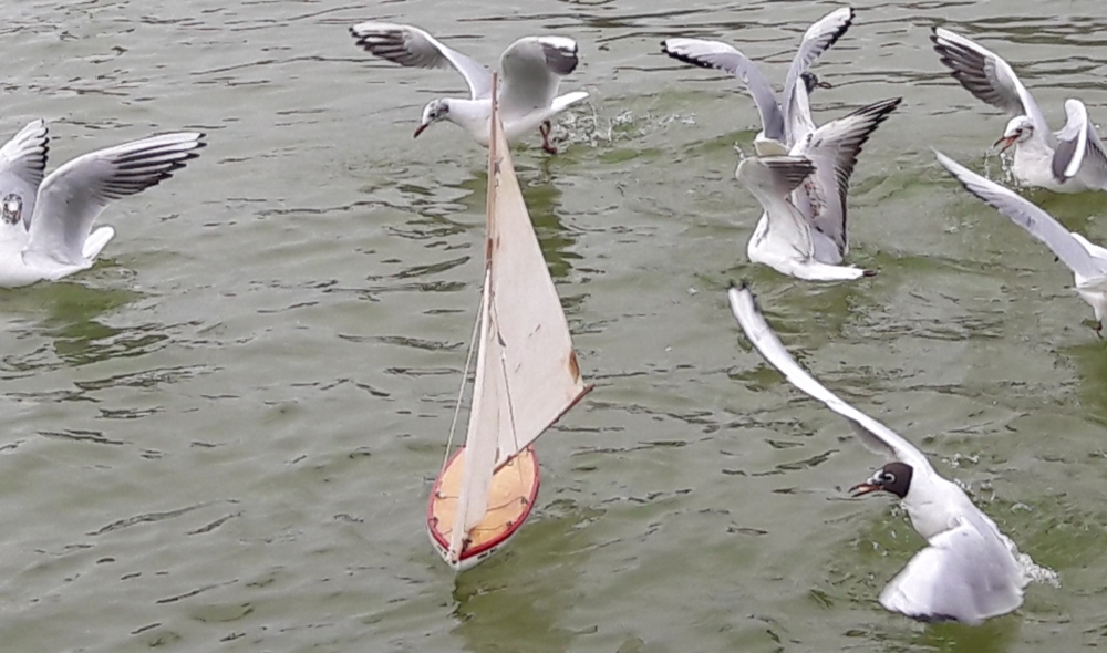 club nautique du luco jardin du Luxembourg Paris pond boat