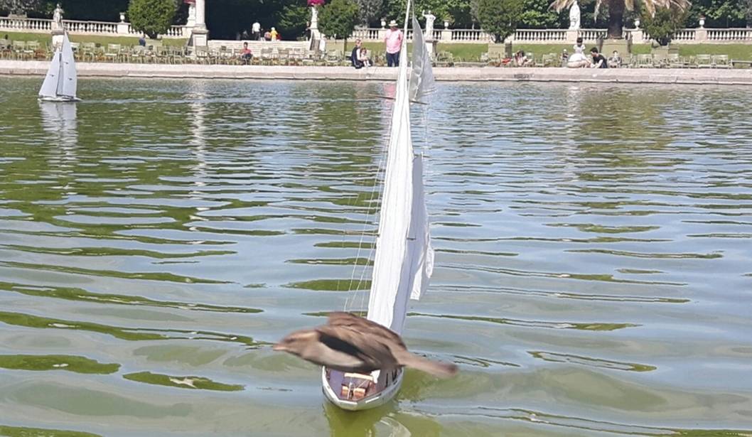 club nautique du luco jardin du Luxembourg Paris pond boat