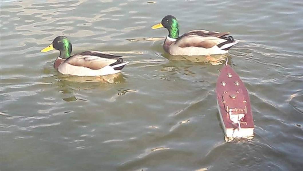 club nautique du luco jardin du Luxembourg Paris pond boat