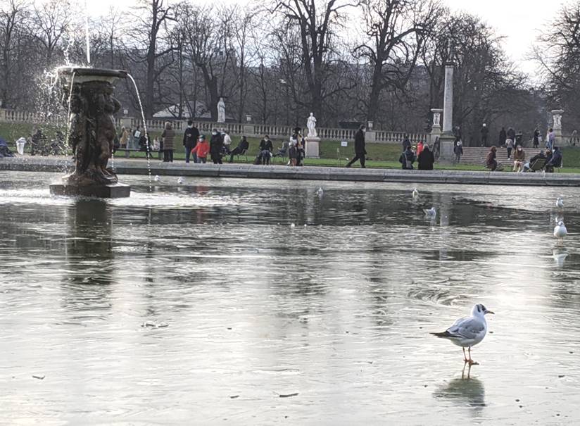 club nautique du luco jardin du Luxembourg Paris pond boat