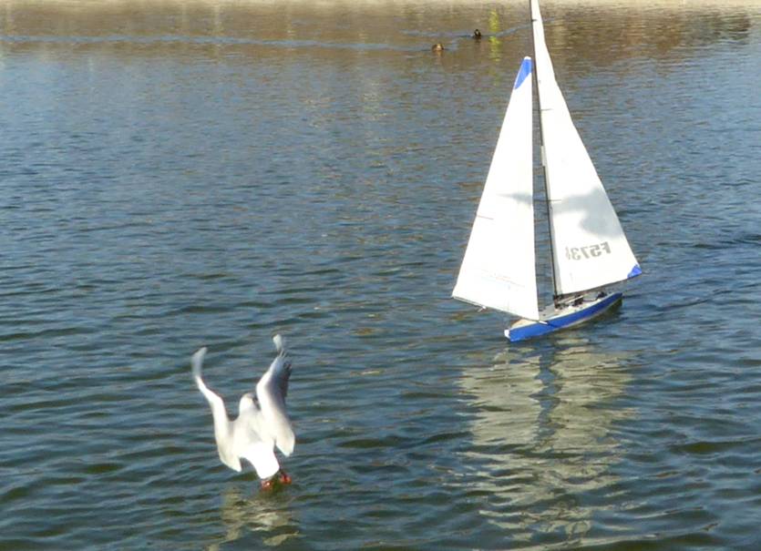 club nautique du luco jardin du Luxembourg Paris pond boat