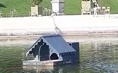 heron.jpg