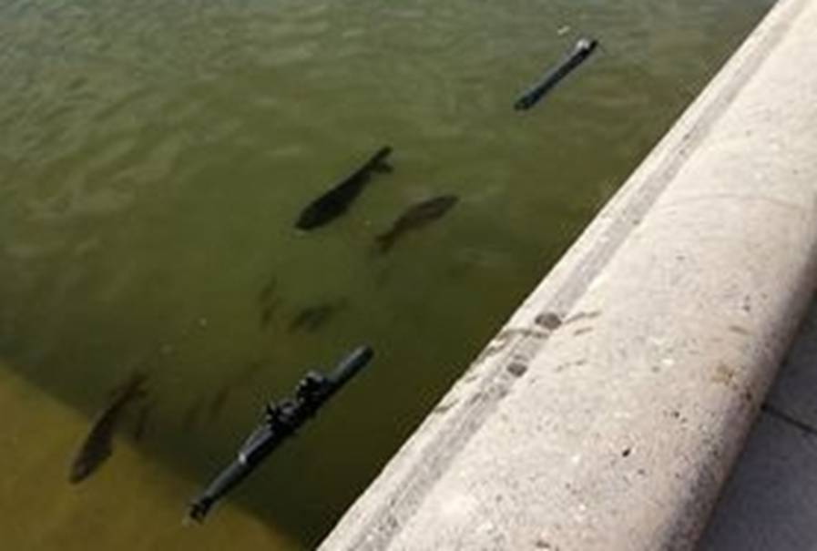 club nautique du luco jardin du Luxembourg Paris pond boat