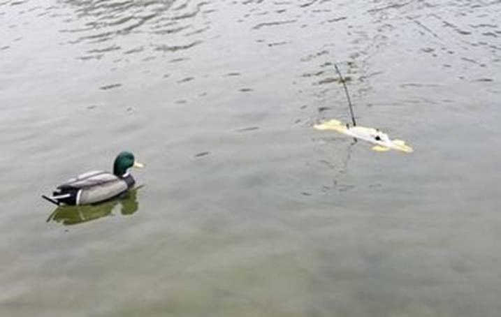 club nautique du luco jardin du Luxembourg Paris pond boat