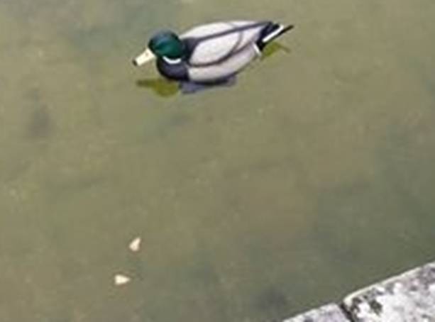 club nautique du luco jardin du Luxembourg Paris pond boat