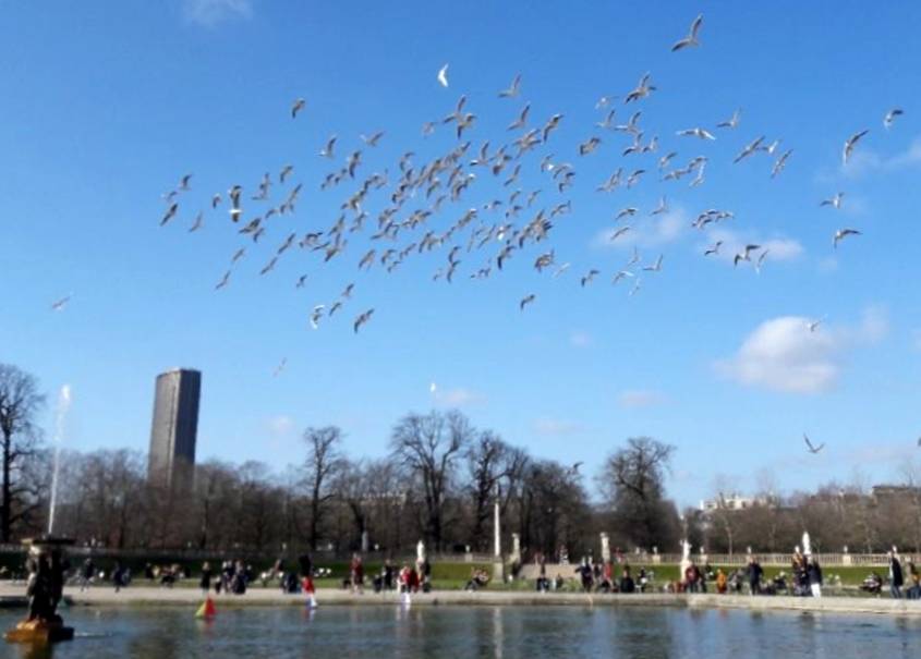 club nautique du luco jardin du Luxembourg Paris pond boat