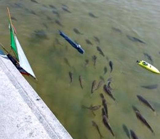 club nautique du luco jardin du Luxembourg Paris pond boat