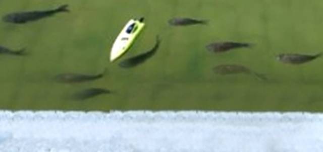 club nautique du luco jardin du Luxembourg Paris pond boat