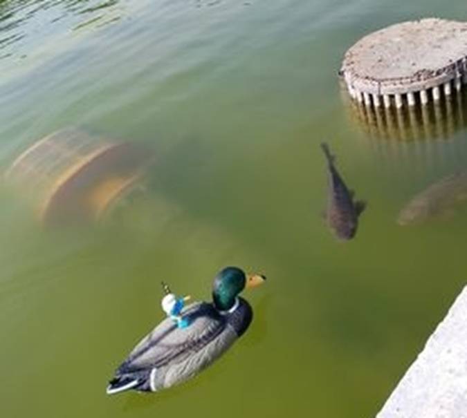 club nautique du luco jardin du Luxembourg Paris pond boat