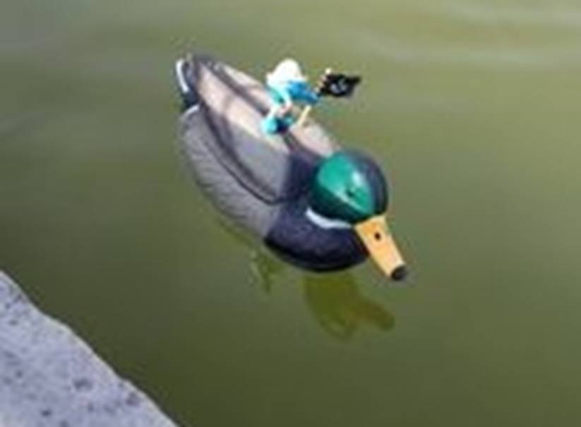 club nautique du luco jardin du Luxembourg Paris pond boat
