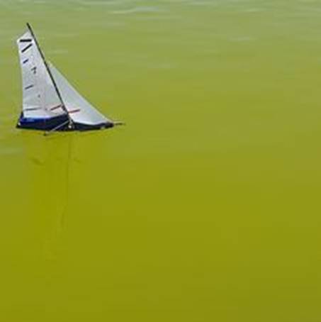 club nautique du luco jardin du Luxembourg Paris pond boat