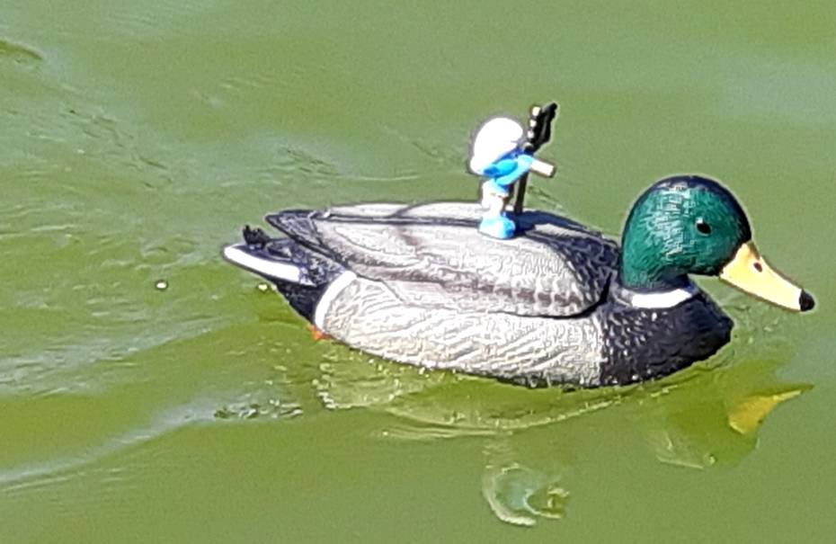 club nautique du luco jardin du Luxembourg Paris pond boat