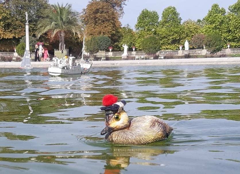 club nautique du luco jardin du Luxembourg Paris pond boat