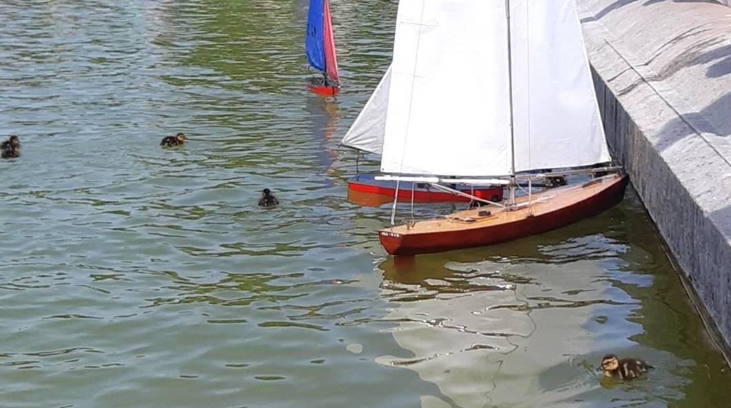 club nautique du luco jardin du Luxembourg Paris pond boat