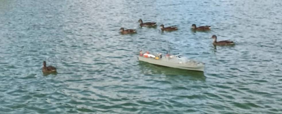 club nautique du luco jardin du Luxembourg Paris pond boat