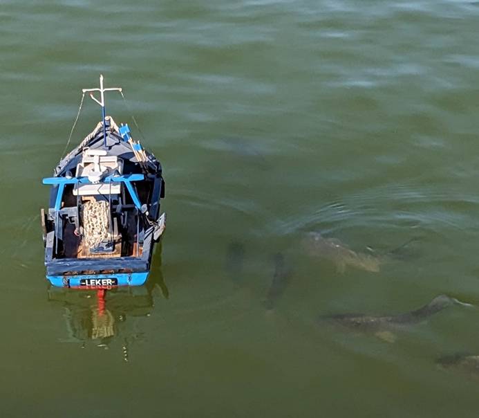 club nautique du luco jardin du Luxembourg Paris pond boat