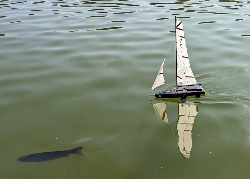 club nautique du luco jardin du Luxembourg Paris pond boat