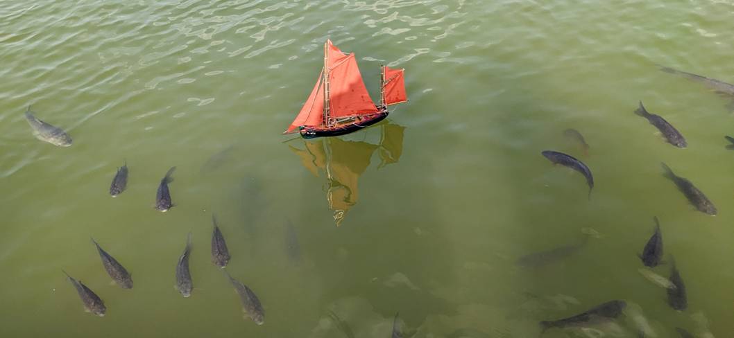 club nautique du luco jardin du Luxembourg Paris pond boat