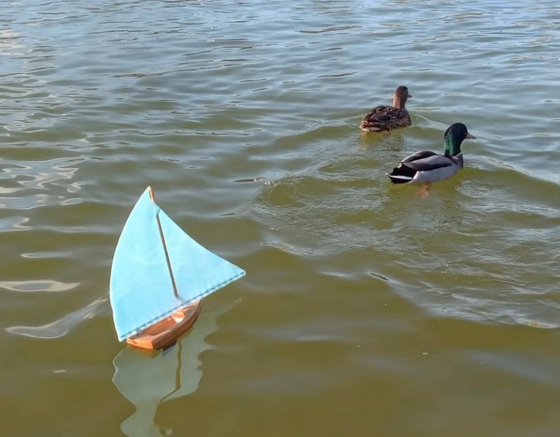 club nautique du luco jardin du Luxembourg Paris pond boat