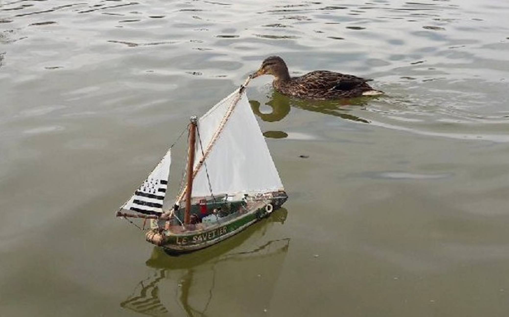club nautique du luco jardin du Luxembourg Paris pond boat