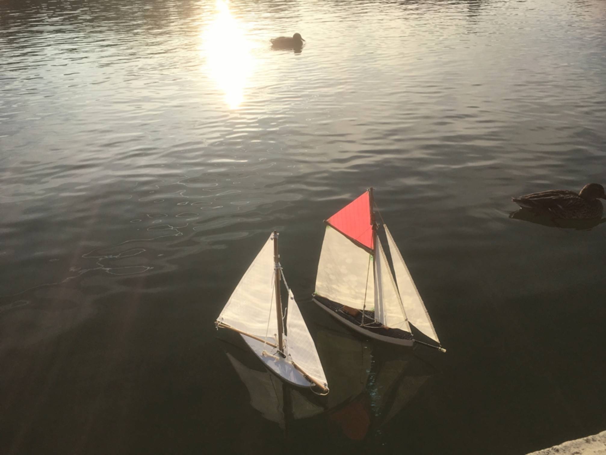 club nautique du luco jardin du Luxembourg Paris pond boat