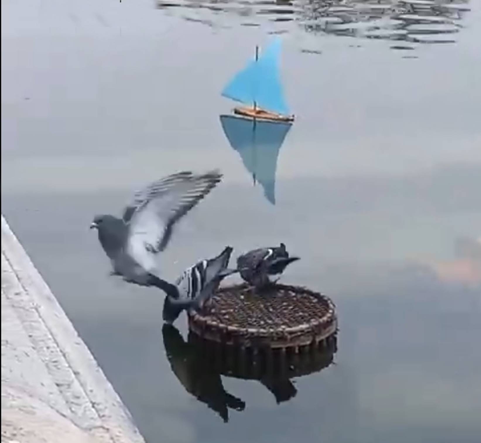 club nautique du luco jardin du Luxembourg Paris pond boat