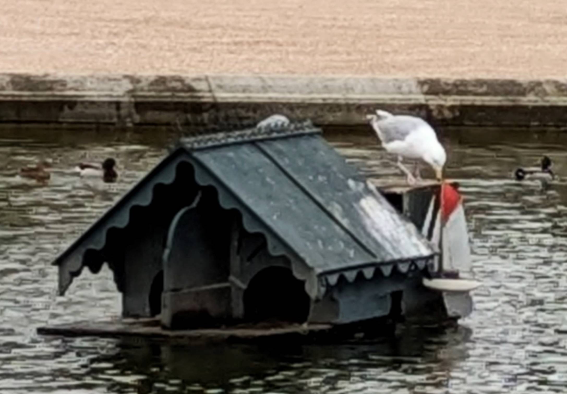 club nautique du luco jardin du Luxembourg Paris pond boat