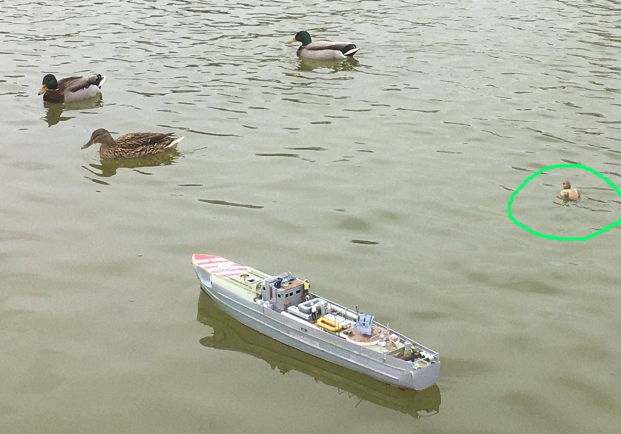 club nautique du luco jardin du Luxembourg Paris pond boat