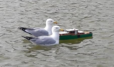 club nautique du luco jardin du Luxembourg Paris pond boat