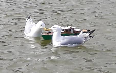 club nautique du luco jardin du Luxembourg Paris pond boat