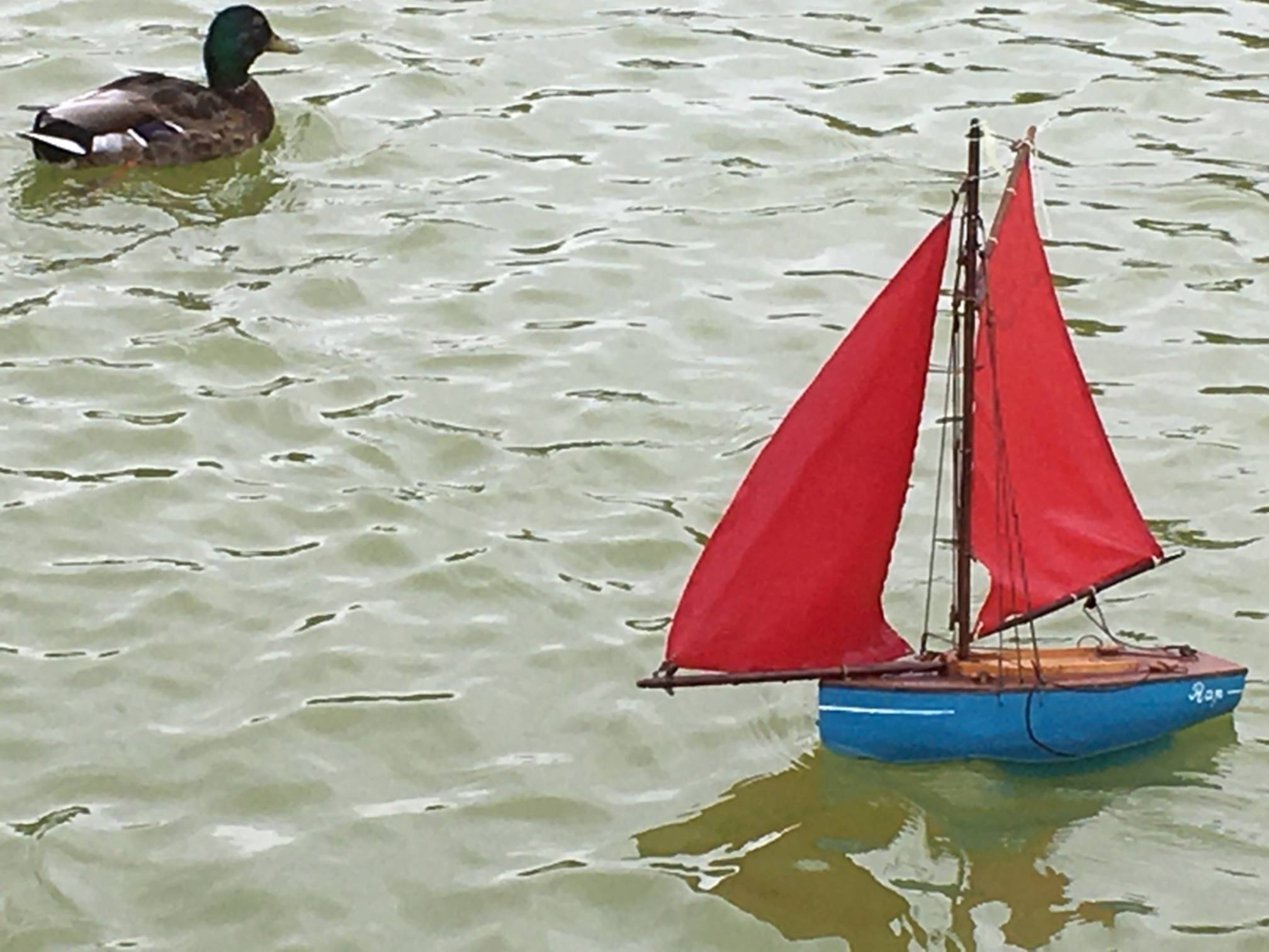 club nautique du luco jardin du Luxembourg Paris pond boat