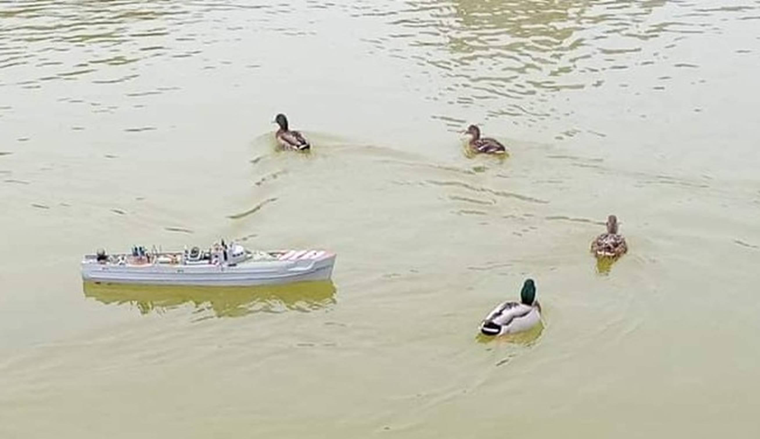 club nautique du luco jardin du Luxembourg Paris pond boat