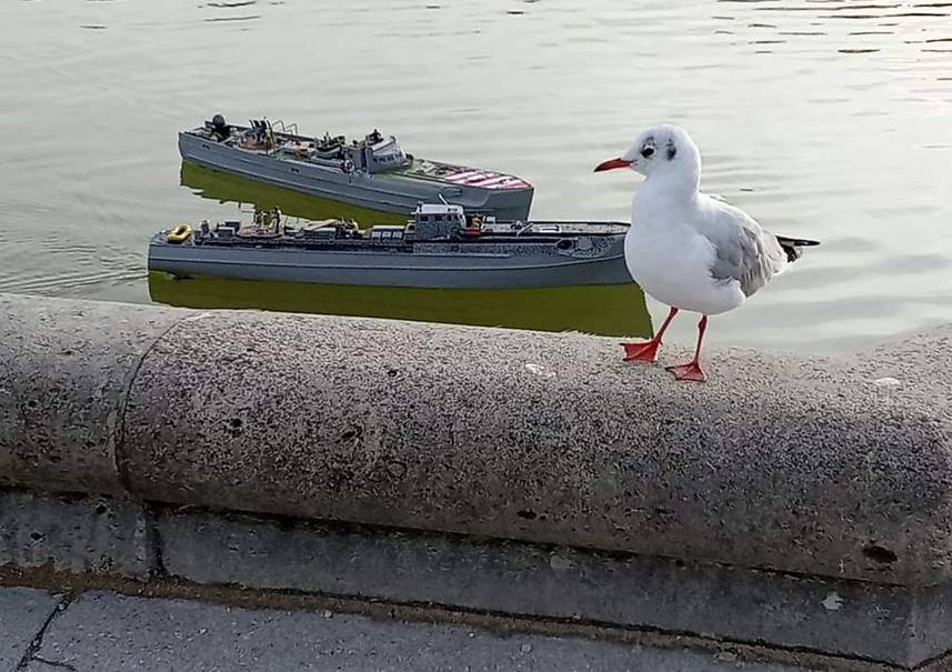 club nautique du luco jardin du Luxembourg Paris pond boat