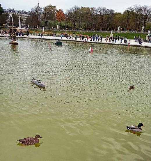 club nautique du luco jardin du Luxembourg Paris pond boat