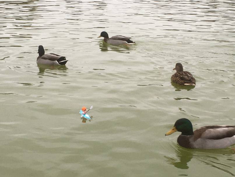 club nautique du luco jardin du Luxembourg Paris pond boat