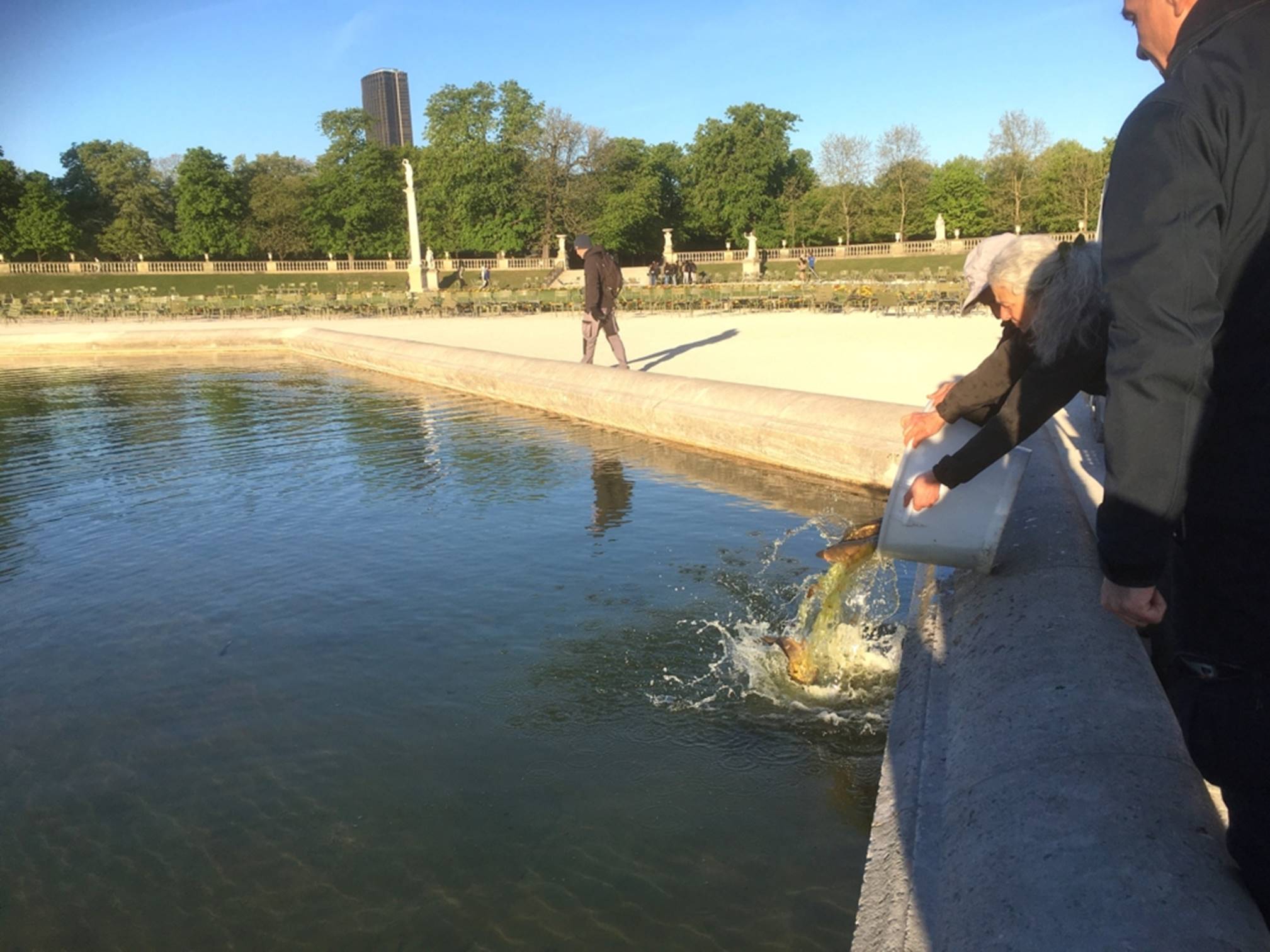 Club nautique du luco jardin du Luxembourg Paris pond boat